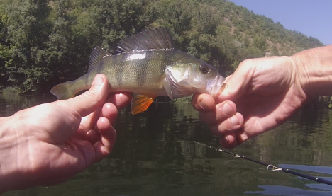 castel-perch